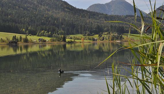 Haus Schluder - Familie Stanitzer Hotel Weissensee Eksteriør billede